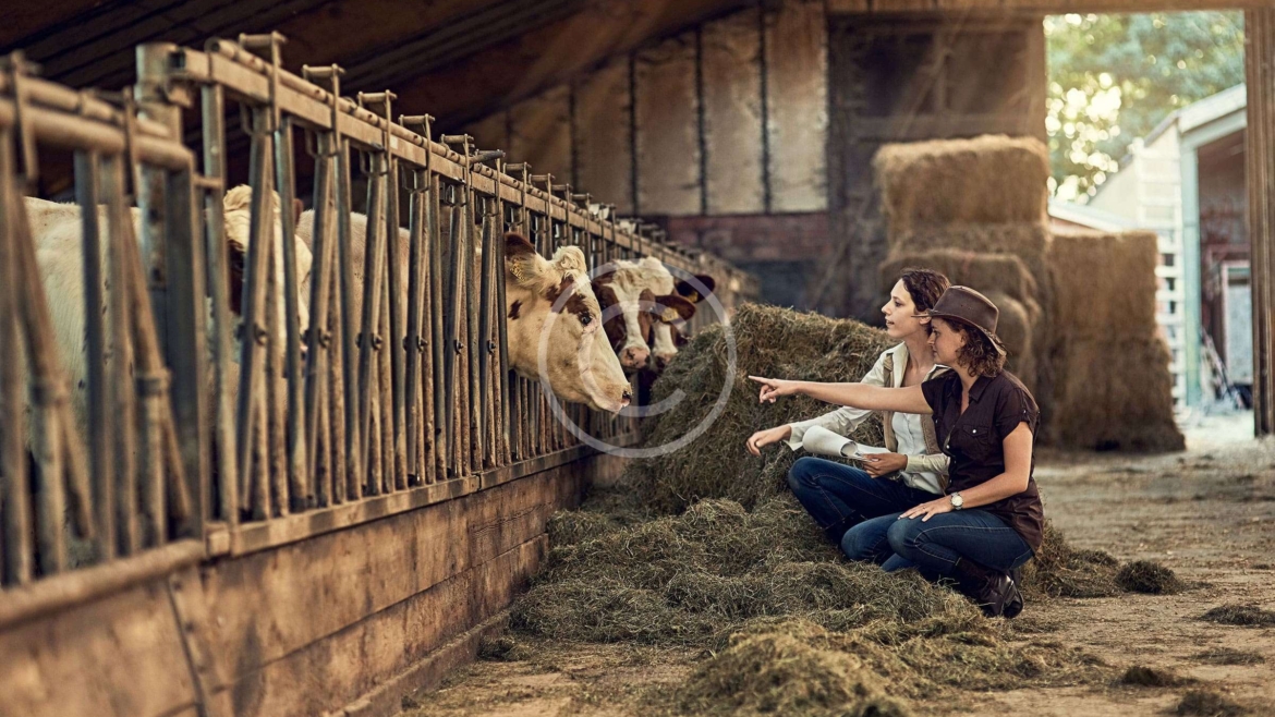 Approved Utah Fits All Vendor